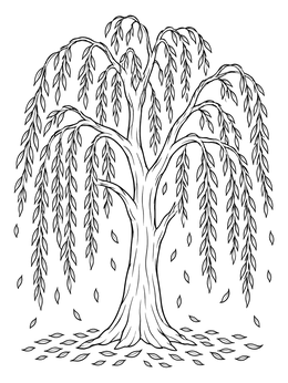 Free printable Graceful Autumn Weeping Willow Tree coloring page