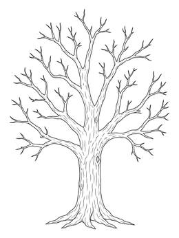 Free printable Bare Autumn Tree Trunk Template coloring page