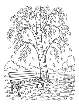 Free printable Birch Tree By The Park Bench coloring page