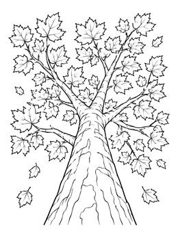A low-angle fall tree coloring page featuring spreading branches and falling leaves.