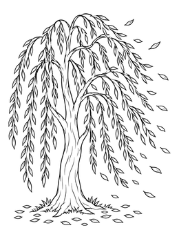 Free printable Weeping Willow In The Wind coloring page