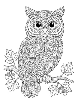 Free printable Intricate Zentangle Owl On Autumn Branch coloring page