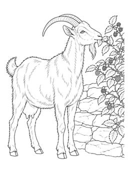 A detailed farm animals coloring page featuring a horned goat eating brambles by a wall.