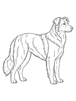 A fluffy shepherd stands alert in this detailed farm coloring page.