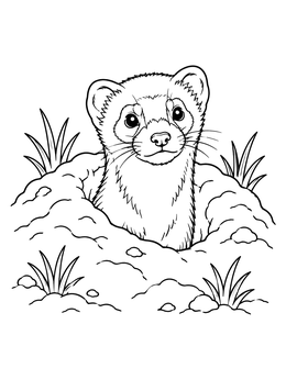 Free printable Ferret Peeking From Burrow coloring page