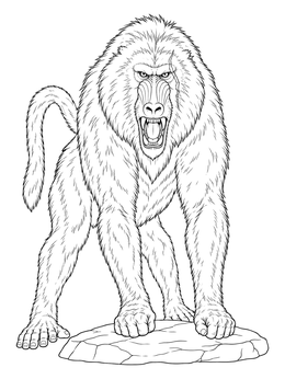 A realistic baboon coloring page showing a fierce scarred male standing on a flat stone.