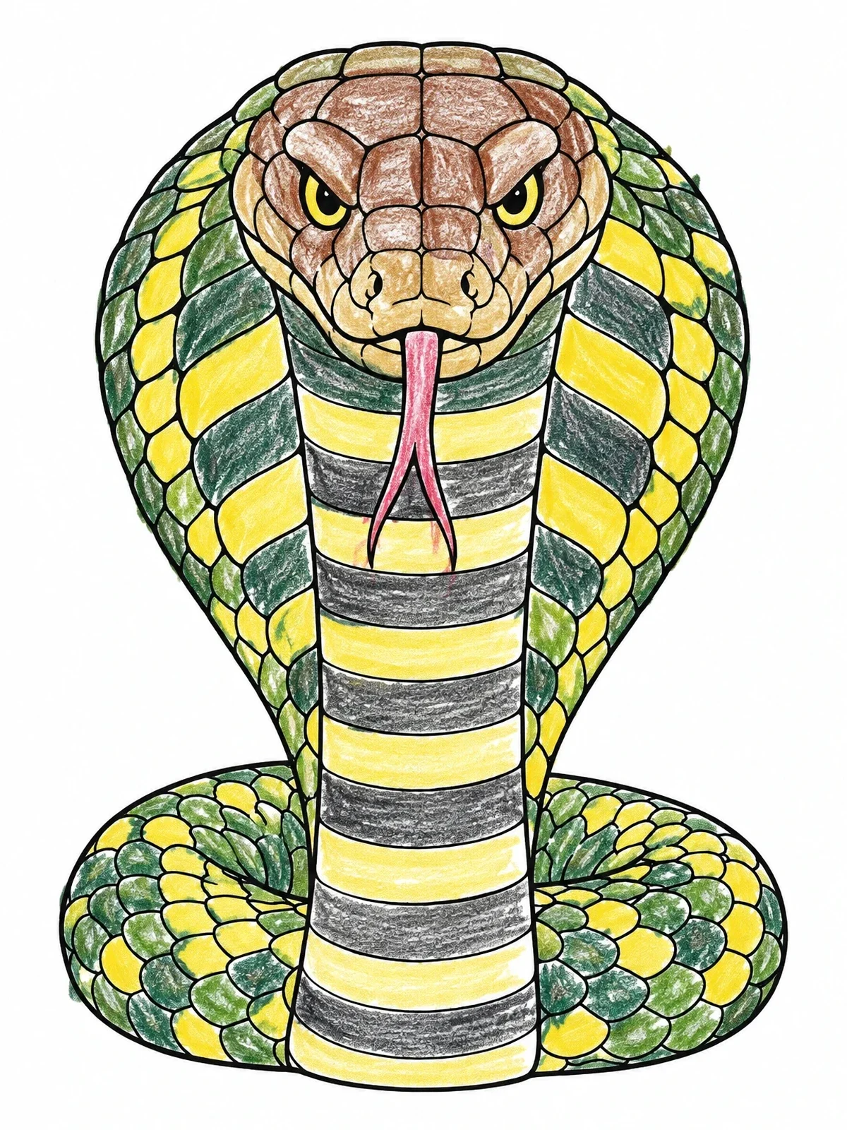 Colored example of the Fierce King Cobra With Spread Hood coloring page
