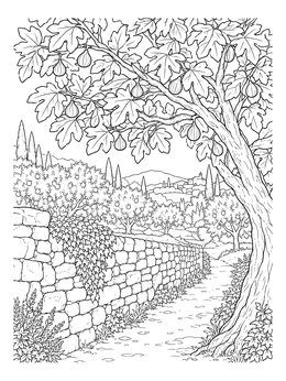 A peaceful path beside a stone wall in this fig tree coloring page.