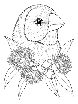 A detailed finch coloring page framed with delicate eucalyptus blossoms and leaves.