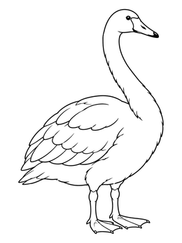 Free printable Graceful Finnish Whooper Swan coloring page
