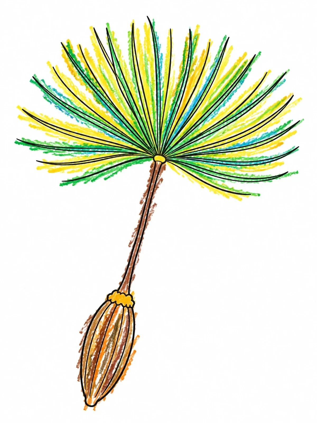 Colored example of the Floating Dandelion Seed Parachute coloring page