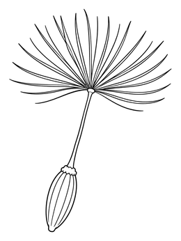 Free printable Floating Dandelion Seed Parachute coloring page