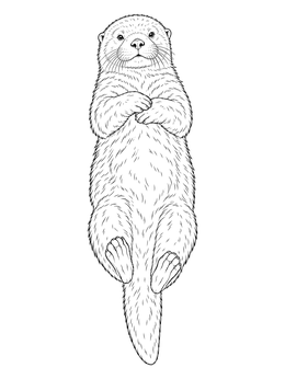 Free printable Floating River Otter With Folded Paws coloring page