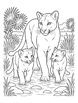 A mother and two cubs walk in water on this florida panther coloring page.