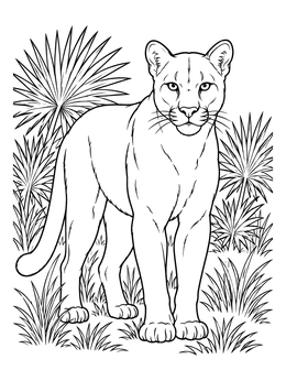Free printable Florida Panther Among Palmetto Palms coloring page