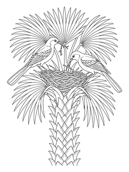 A pair of mockingbirds build their nest in this florida state coloring page.
