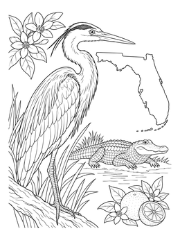 A heron, alligator, and oranges feature on this Florida state coloring page.
