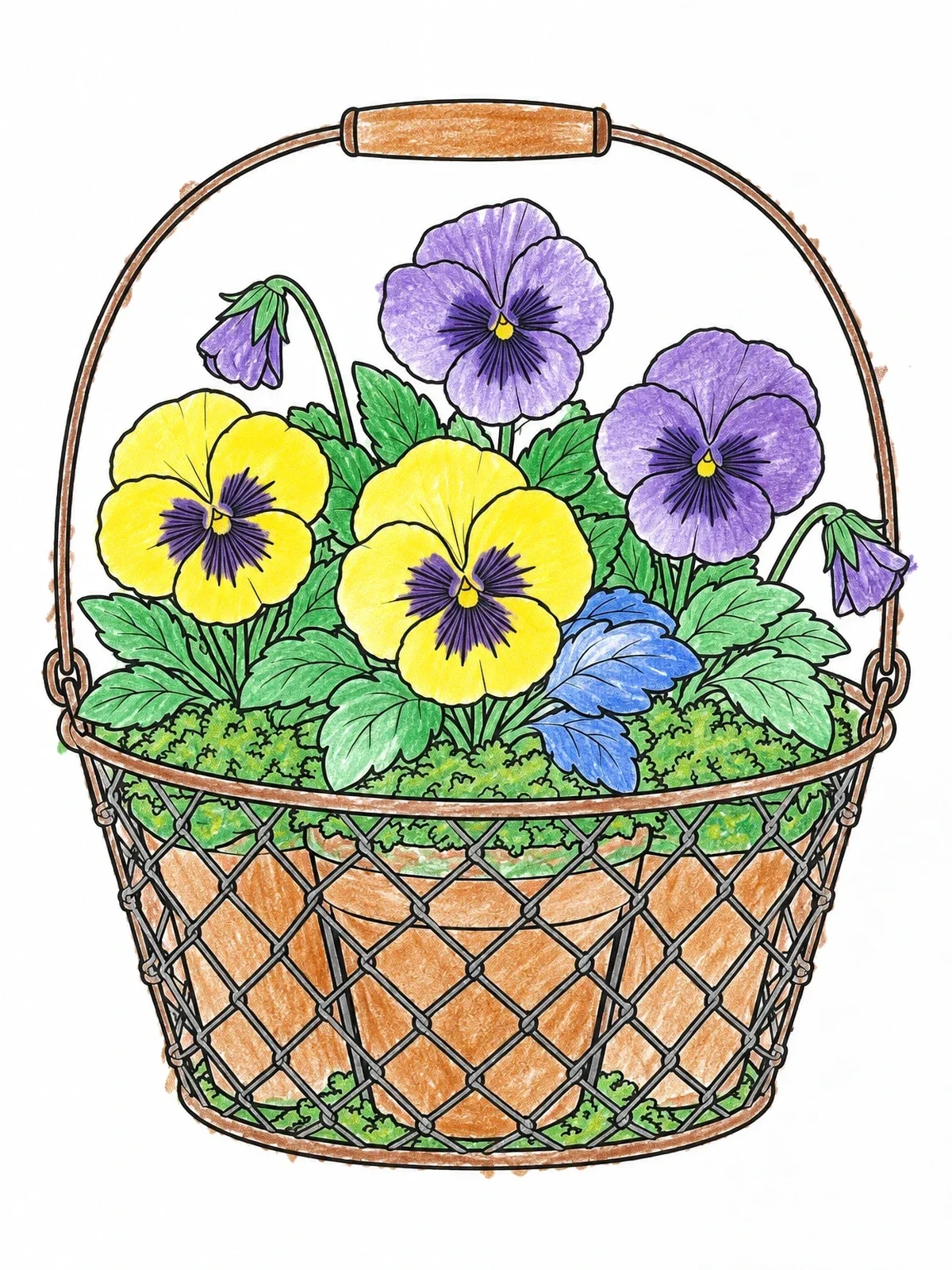 Colored example of the Pansies In Wire Mesh Basket coloring page