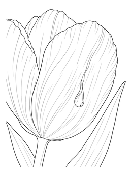 A close-up view in this flower petal coloring page showing a raindrop sliding down a tulip.