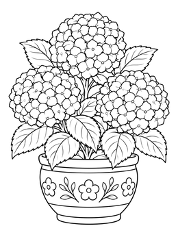 Lush blooming hydrangeas in a flower pot coloring page.