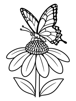 Free printable Butterfly On A Coneflower coloring page