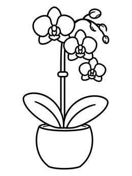 Free printable Blooming Orchid In Ceramic Pot coloring page