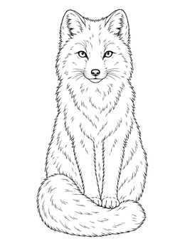A fluffy arctic fox coloring page sitting upright with its tail curled around its paws.