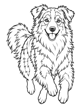 Free printable Fluffy Australian Shepherd Running Forward coloring page