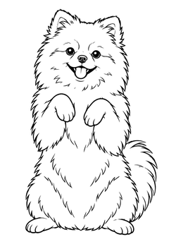 Free printable Fluffy Begging Pomeranian Dog coloring page