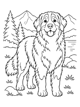 Free printable Fluffy Bernese Mountain Dog Outdoors coloring page