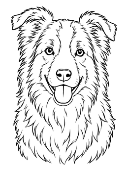 Free printable Fluffy Border Collie Portrait coloring page