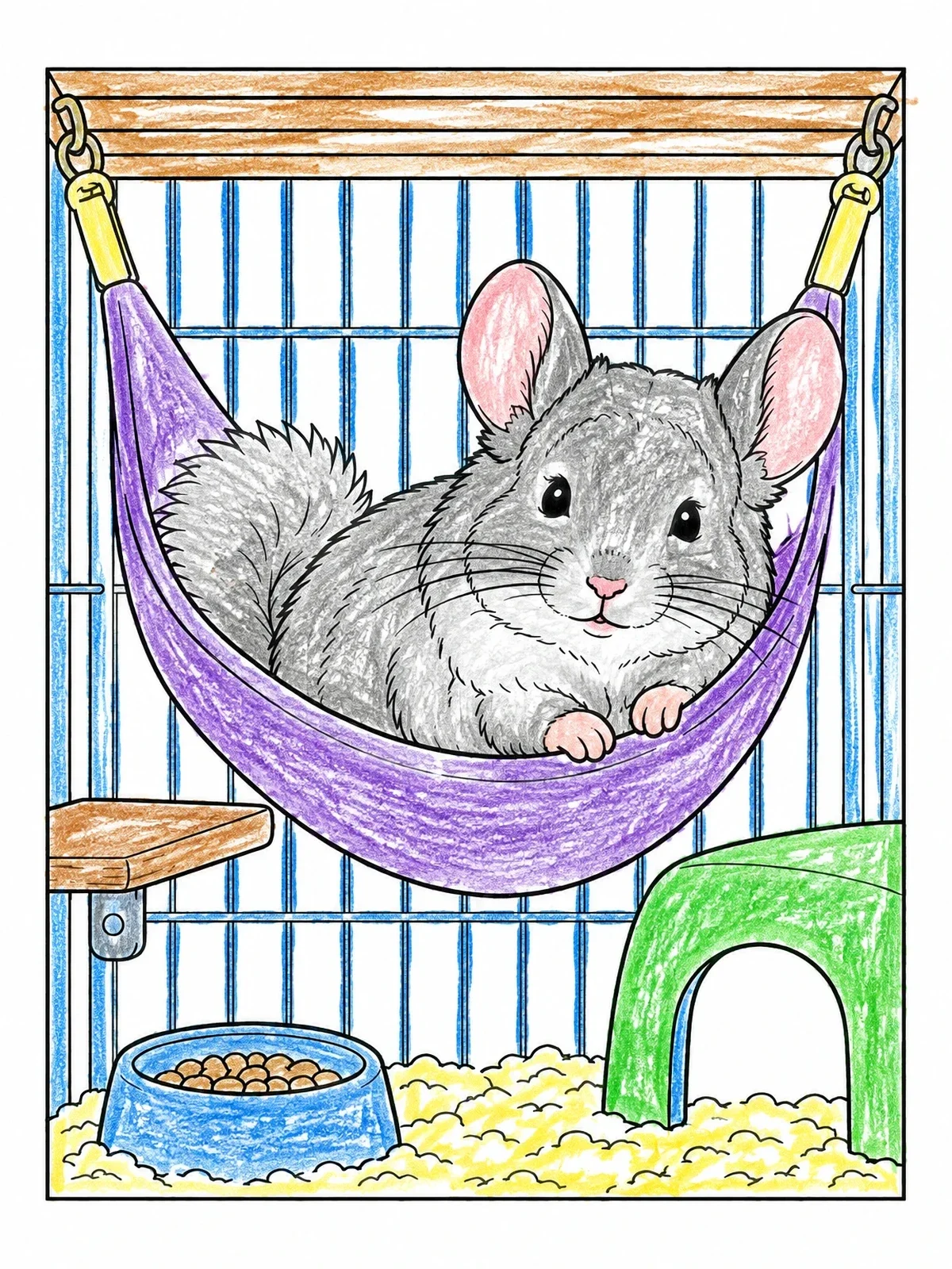 Colored example of the Fluffy Chinchilla In A Cozy Hammock coloring page