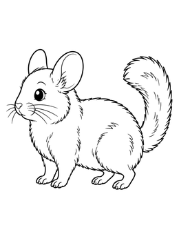 Free printable Fluffy Chinchilla Standing On Four Paws coloring page