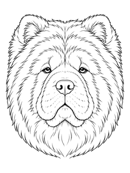 A detailed chow chow coloring page showing a fluffy dog head portrait from the front.