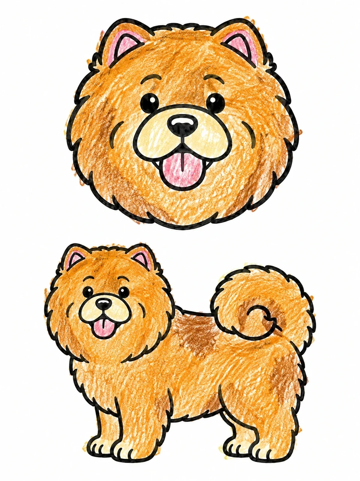 Colored example of the Fluffy Chow Chow Dog And Portrait coloring page