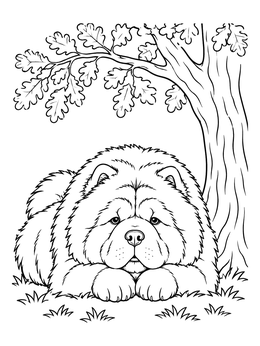 A peaceful chow chow coloring page of a fluffy dog resting under an oak tree.