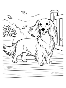 Free printable Fluffy Dachshund On Breezy Porch coloring page
