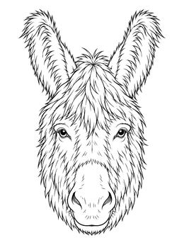 A detailed donkey coloring page showing a shaggy face with tall fuzzy ears.
