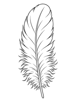 A fluffy bird feather coloring page with soft downy barbs along the shaft.