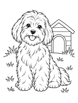 Free printable Fluffy Havanese Dog By Doghouse coloring page