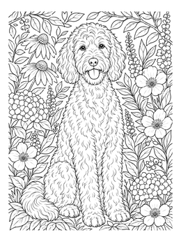 Free printable Fluffy Labradoodle In A Lush Garden coloring page