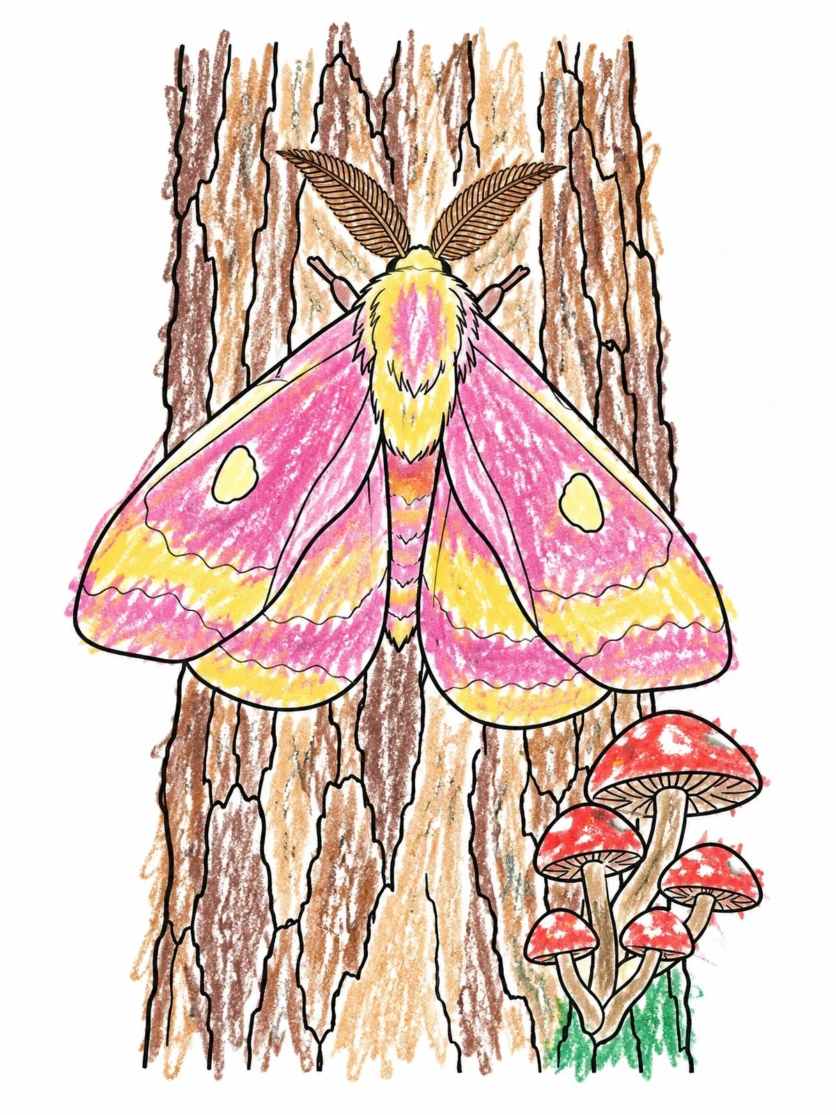 Colored example of the Fluffy Moth On Tree Bark coloring page