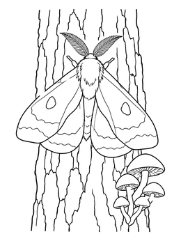 A fluffy moth on tree bark beside woodland mushrooms in this moth coloring page.