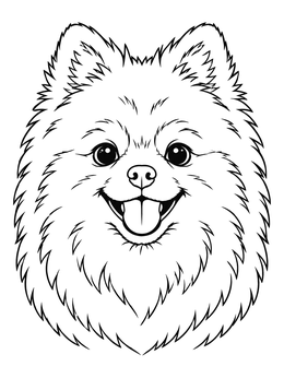 Free printable Fluffy Pomeranian Dog Portrait coloring page