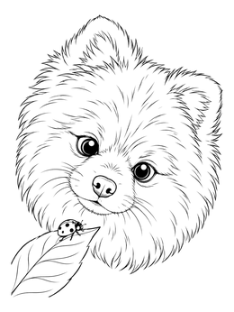 Free printable Fluffy Pomeranian Puppy And Ladybug coloring page