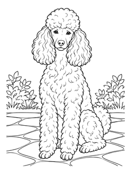 An elegant dog sits outdoors in this poodle coloring page.