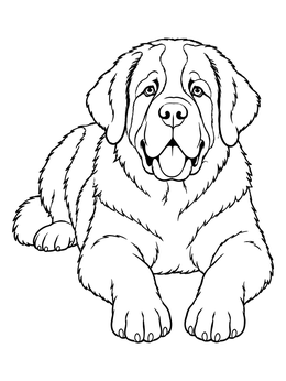 Free printable Fluffy Saint Bernard Dog Resting coloring page