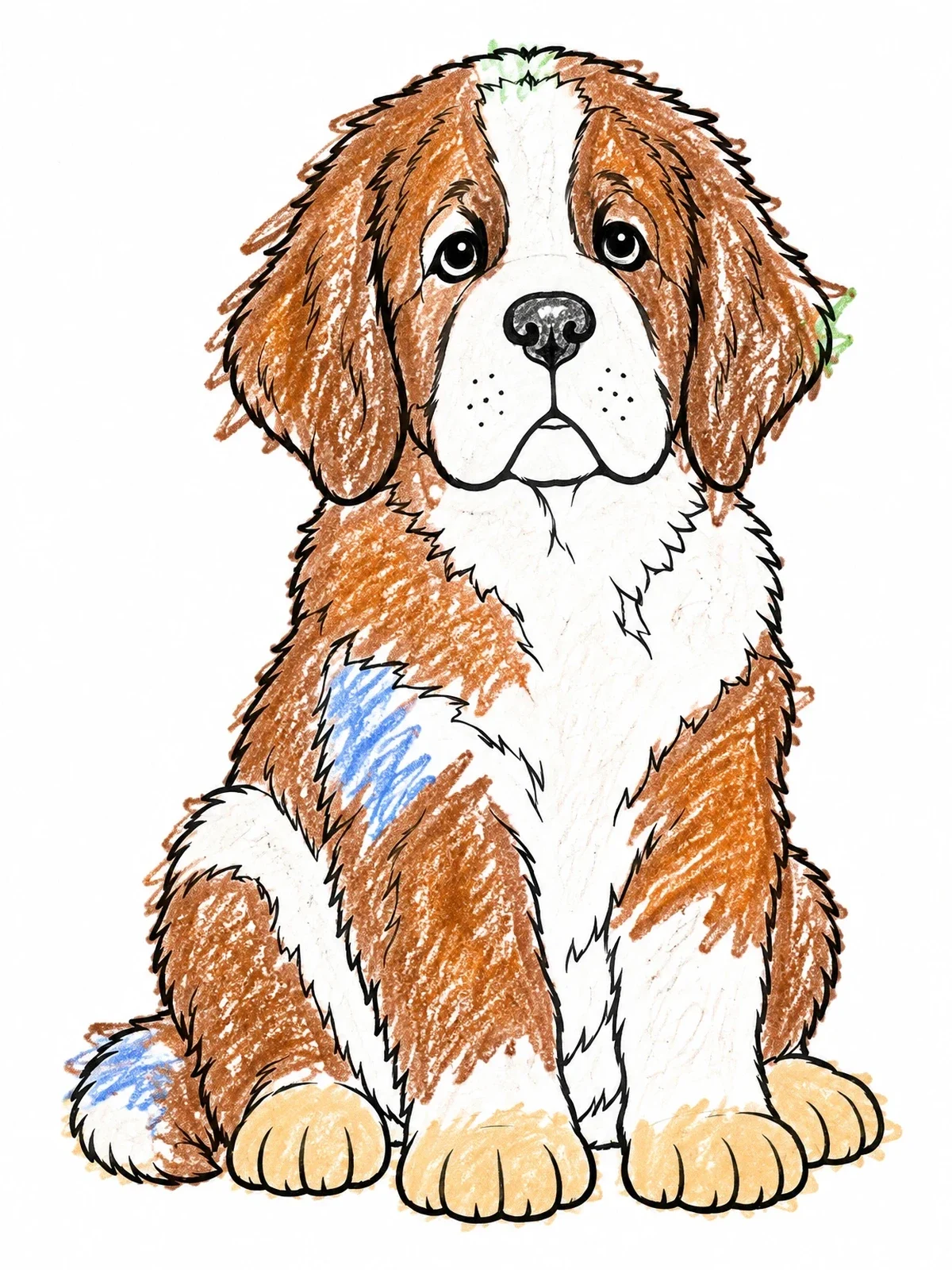 Colored example of the Fluffy Saint Bernard Puppy Sitting coloring page
