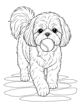 Free printable Fluffy Shih Tzu Holding Tennis Ball coloring page