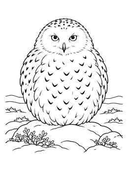 A fluffy snowy owl coloring page showing a round bird resting on a rocky tundra ridge.